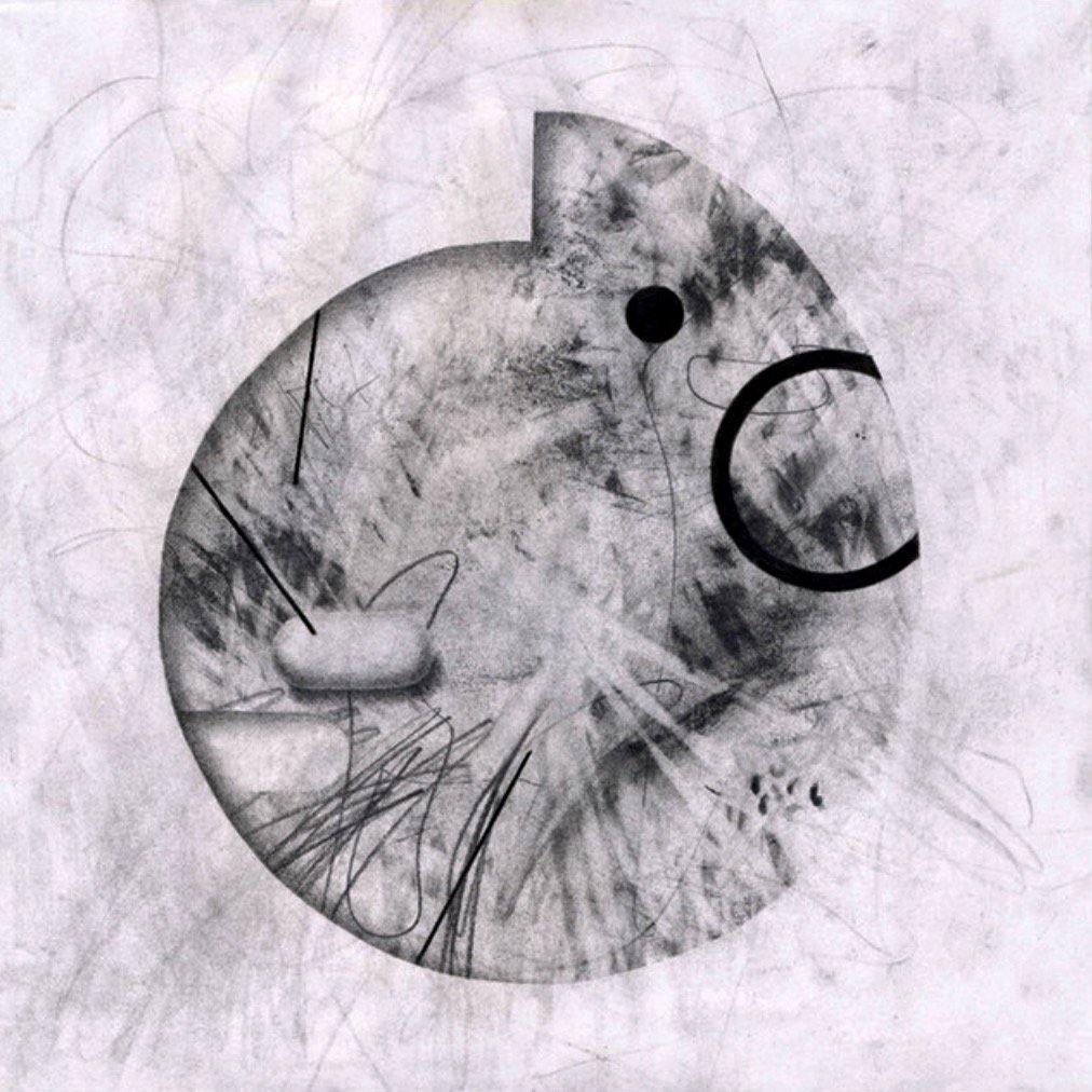 Ammonites+-+I+see+letters+ind+the+Sky (1)