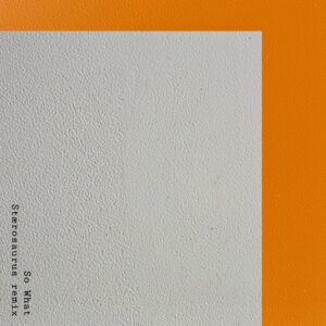 Another+Juggle+&+Stærosaurus+-+So+What+(Stærosaurus+remix) (1)